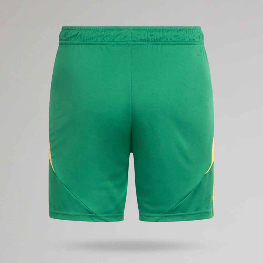 Celtic Herren 2024/25 Dritte Torwartshorts