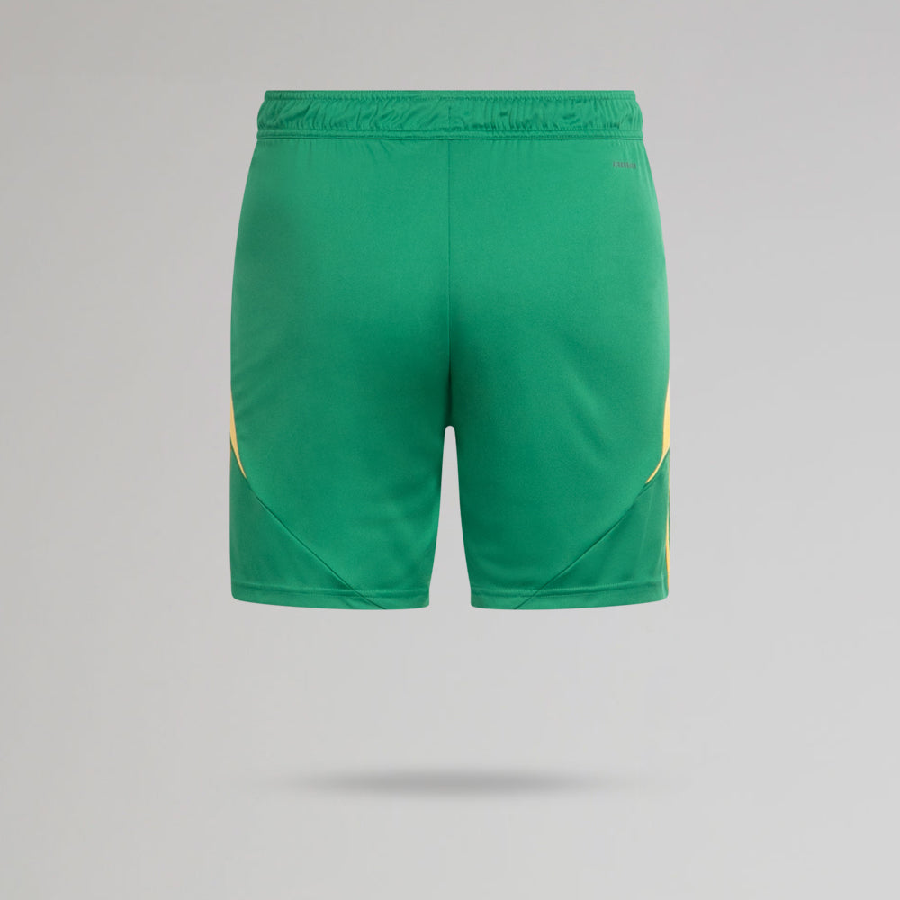 Celtic Junior 2024/25 Dritte Torwartshorts