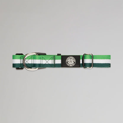 Celtic Green Stripe Dog Collar and Lead Set