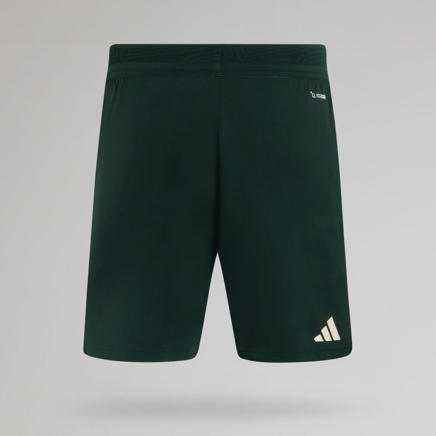 Celtic Men's 2026/27 Authentic Third Shorts