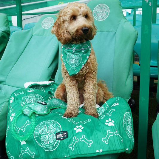 Celtic Pet Blanket