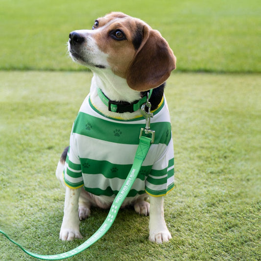 Celtic YNWA Dog Lead
